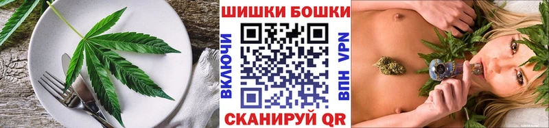 кракен онион  Гай  Canna-Cookies марихуана 