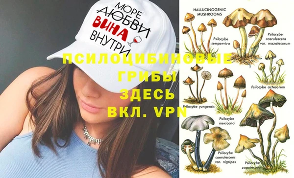 метамфетамин Верея