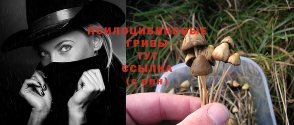 Альфа ПВП Верхний Тагил