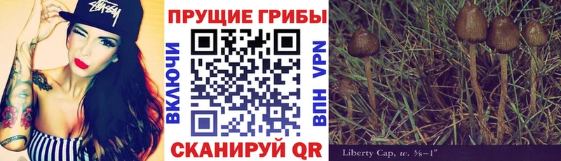 blacksprut зеркало  Гай  Галлюциногенные грибы GOLDEN TEACHER  купить наркотик 